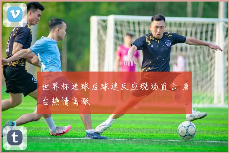 世界杯进球后球迷反应现场直击 看台热情高涨