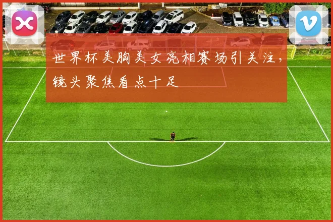 世界杯美胸美女亮相赛场引关注,镜头聚焦看点十足