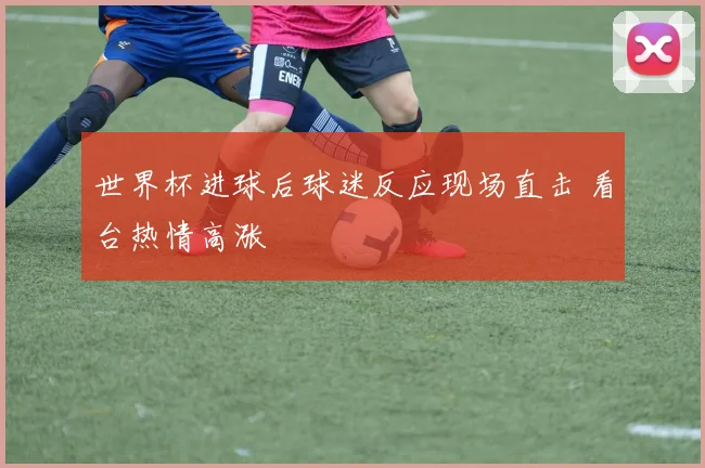 世界杯进球后球迷反应现场直击 看台热情高涨