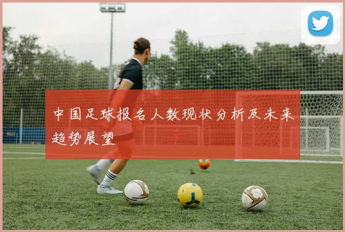中国足球报名人数现状分析及未来趋势展望