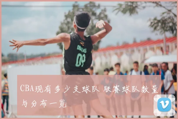 CBA现有多少支球队 联赛球队数量与分布一览