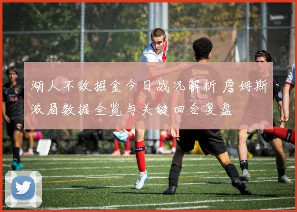 湖人不敌掘金今日战况解析 詹姆斯浓眉数据全览与关键回合复盘