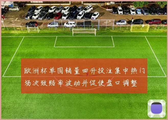 欧洲杯单固销量回升投注集中热门场次致赔率波动并促使盘口调整