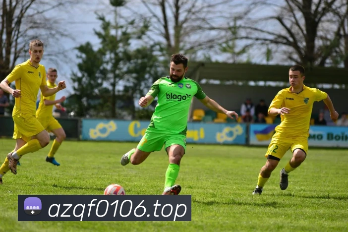 三亿体育app官方下载入口服务体系